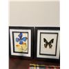 Image 1 : Butterfly decor