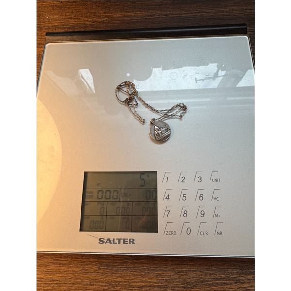 Sterling? necklace and pendant