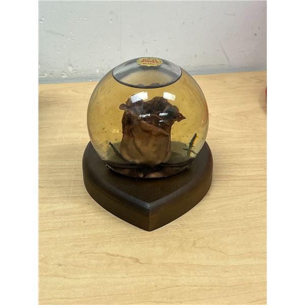 Vintage Real Rose in Glass Globe by Bowl O' Beauty 5.5"W 5"T