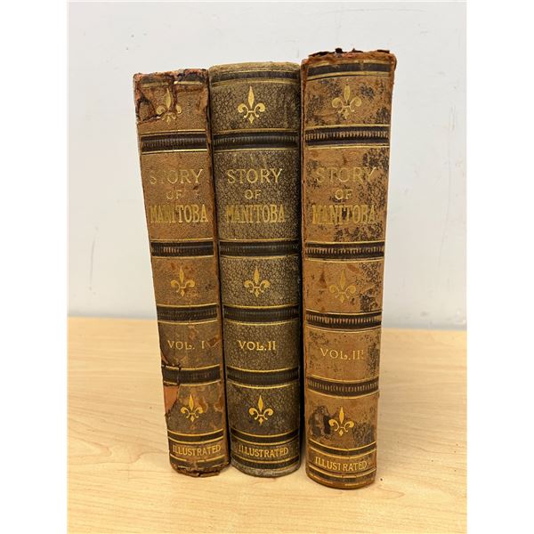 1913 Story Of Manitoba Volumes I-III (pages seem intact, but books are showing age, see photos)