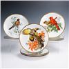 Image 2 : 11pc Songbirds of Roger Tory Peterson Limited Edition Plates