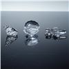 Image 2 : 3pc Swarovski Silver Crystal Figurines, Shell, Star Fish, and Conch