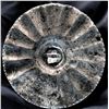 Image 2 : A partial card of assorted steel buttons.