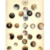 Image 8 : 8 Cards of division 1 & 3 assorted pearl buttons