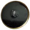Image 2 : A division one brass pictorial insect button