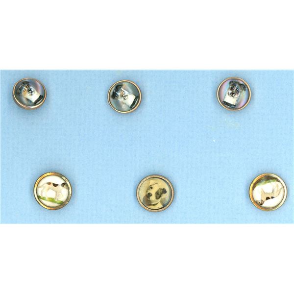 A small card of division one "Weskit" buttons