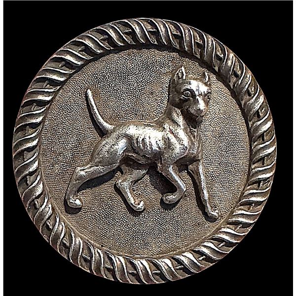 A division three pictorial full body dog button
