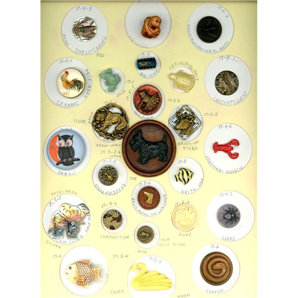 A card of division 1 & 3 assorted animal buttons