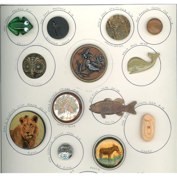 Partial card of division 1 & 3 assorted animal buttons