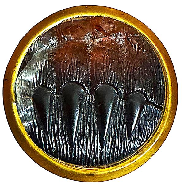 A division one glass in metal pictorial button