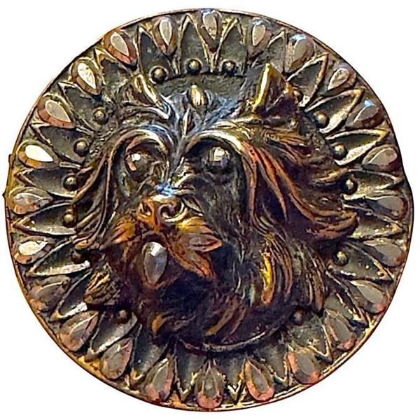 A division one brass and steel dog button