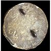 Image 2 : A division three pictorial plaster button