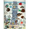Image 1 : 2 cards of division three assorted fish buttons