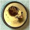 Image 2 : A small card of division one DOG buttons