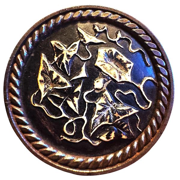 A division one pictorial steel cup button