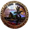 Image 1 : A division three pictorial under glass button
