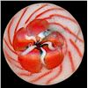 Image 2 : A card of division three studio artist buttons