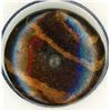 Image 2 : A card of division one pottery buttons