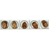 Image 1 : A partial card of division three Boxwood buttons