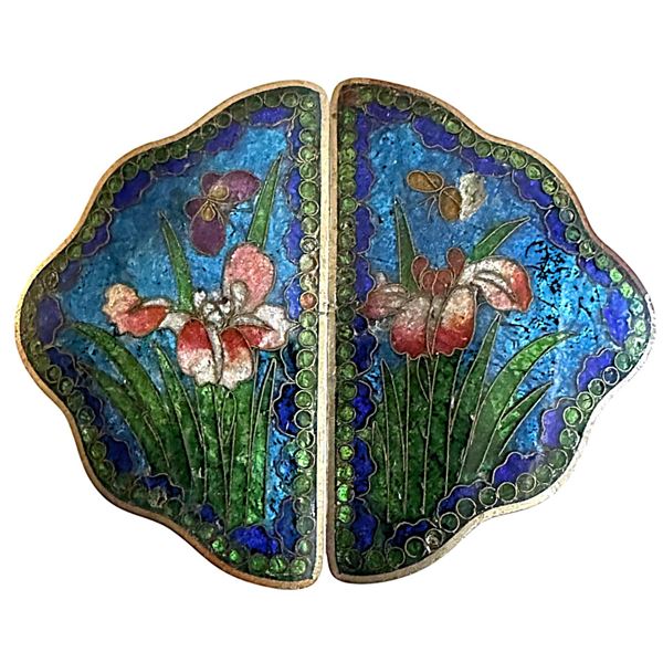 A division one 2 piece colorful buckle