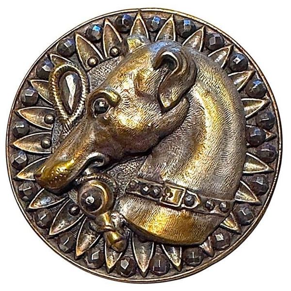 A division one brass and steel dog button