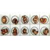 Image 1 : A partial card of division three Boxwood buttons