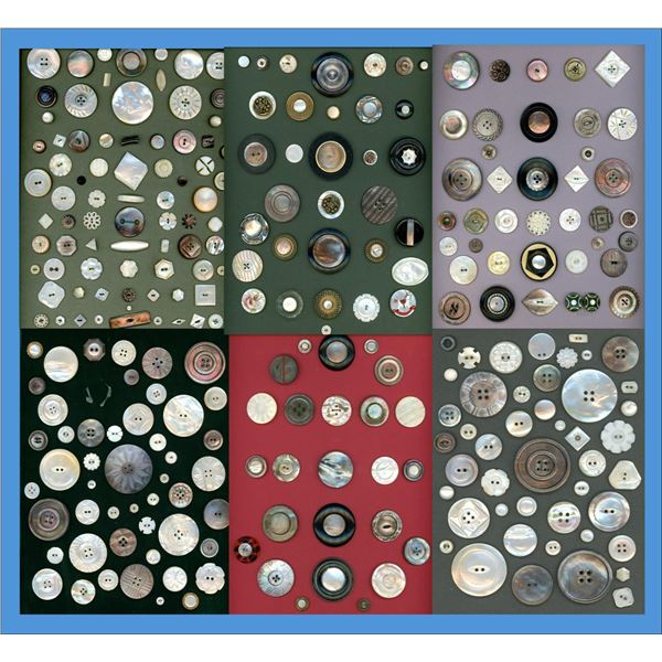 A box lot of assorted shell carded buttons