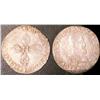Image 1 : Demi franc Bordeaux 1595  EF or better