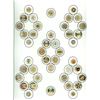 Image 1 : A card of division three glass buttons.