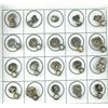 Image 1 : A partial card of division one silver toggle buttons