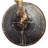 Image 2 : A division one lacy glass button