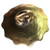 Image 2 : A division one genuine gemstone button