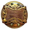 Image 1 : A Very RARE division one jeweled button