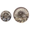Image 1 : A pair of division one lacy glass buttons