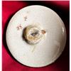 Image 2 : A Rare division one Japanese Satsuma button