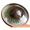 Image 1 : A very RARE division one under glass button