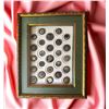 Image 2 : A framed card of division one celluloid buttons