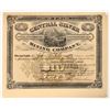 Image 1 : Central Silver Mining Company Stock Certificate, 1892 [203535]