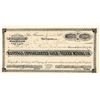 Image 1 : Hastings Consolidated Gold & Silver Mining Co. Stock Certificate, 1882 [204208]
