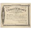 Image 1 : Mammoth Gold Mines Ltd Stock Certificate, Arizona, 1891 [205214]