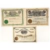 Image 1 : Arizona Mining Stocks [200246]
