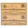 Image 1 : Big Flat Gold Mining Co. Stocks [200255]