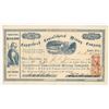 Image 1 : Copperhead Consolidated Mining Co. Stock Certificate, Stone Ranch, CA 1863 [204511]