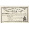 Image 1 : Mineral Hill Mining Company Stock Certificate, 1881 [205216]