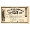 Image 1 : Fairmount Gold & Silver Mining Co. Stock Certificate [200308]