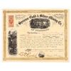Image 1 : Syracuse Gold & Silver Mining Co. of Colorado Stock Certificate 1866 [205008]