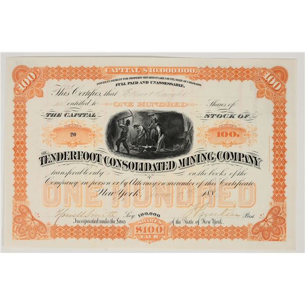 Tenderfoot Consolidated Mining Company Stock Certificate, 1886 [195371]