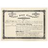 Image 1 : Shafer Iron Company Stock Certificate, Crystal Falls, Michigan, 1891 [204179]