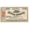 Image 1 : Baltic Silver Mining Company Stock Certificate, Ely Mining District, Nevada, 1872 [205366]
