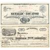 Image 1 : Two Different GT Brown Lithographed Stocks: Metallic-Equator MC and People's Ice Co. [202744]
